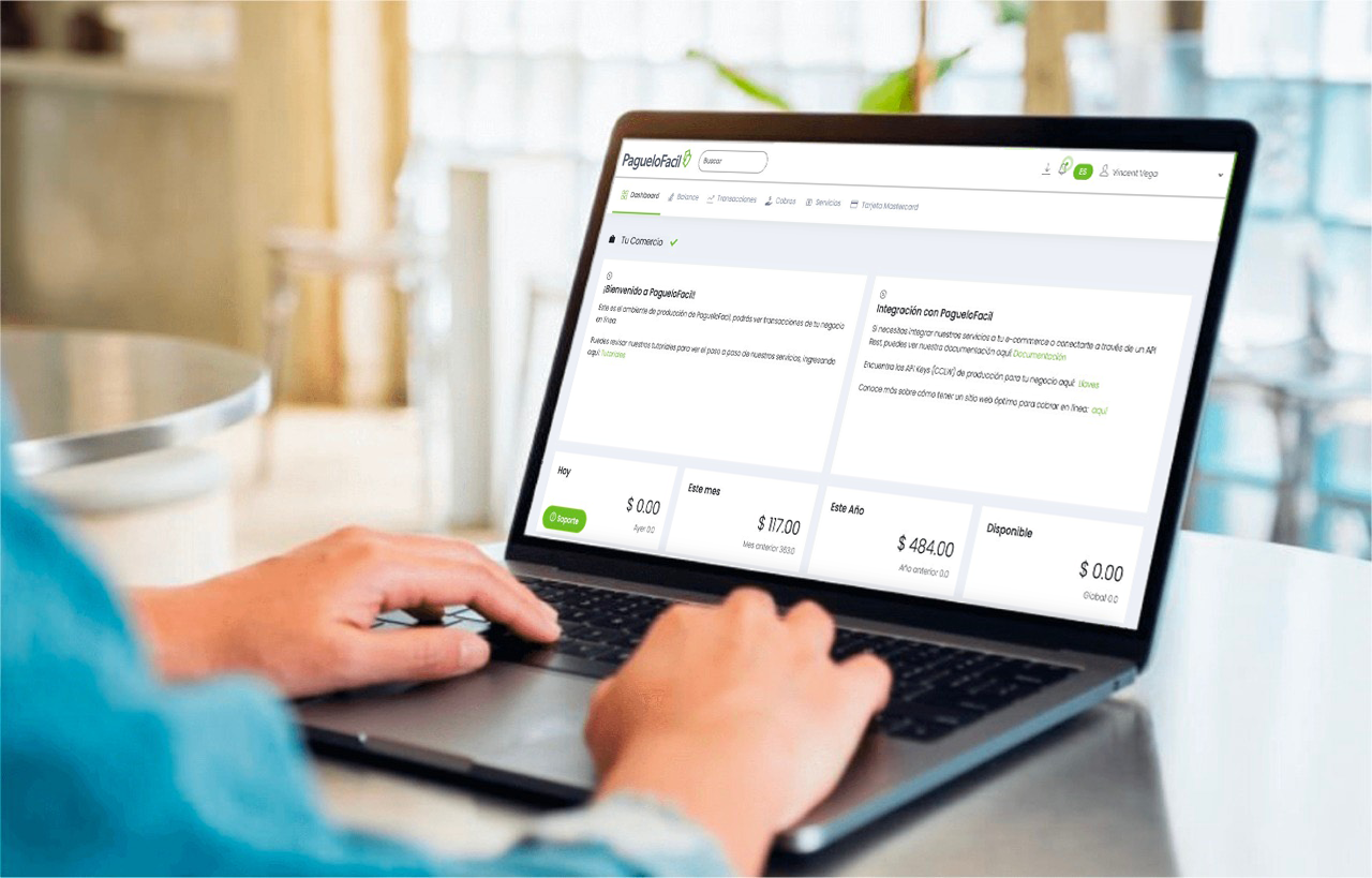 Balanço de dinheiro na plataforma paguelofacil