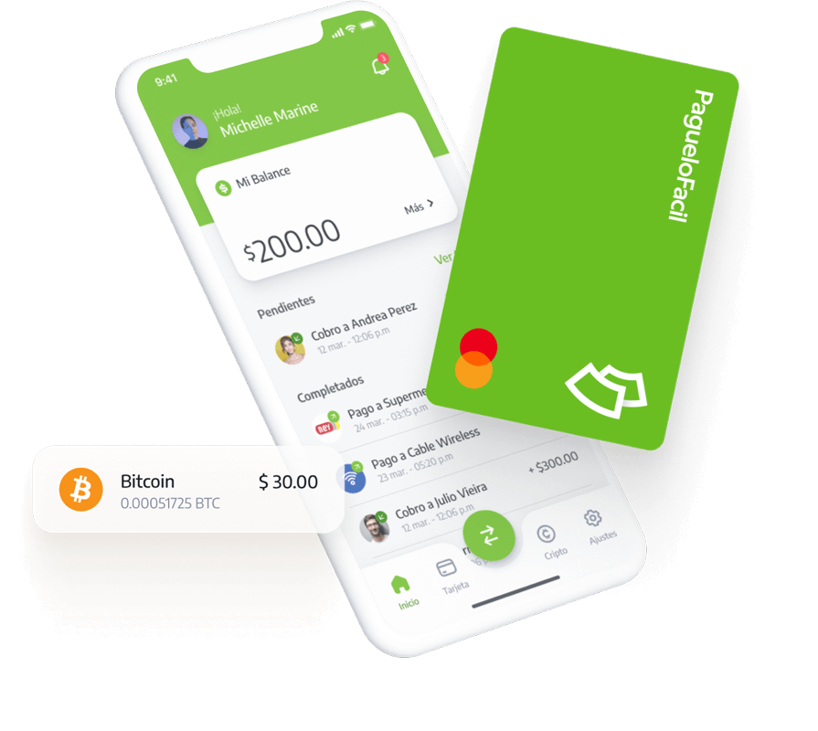 Pagamentos em linha para a aplicação de pagamento fácil